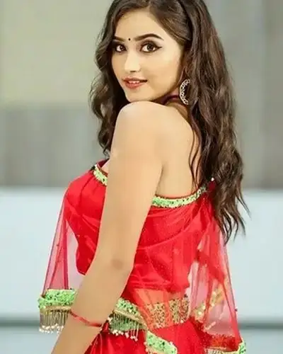 Call Girls Pennagaram Cash On Delivery